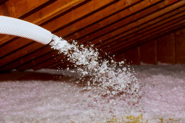 Professional Insulation Contractor in Clifton Gardens, NY