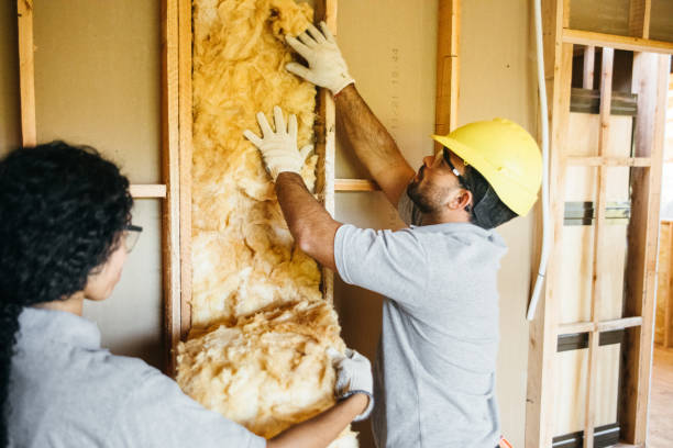 Best Residential Insulation Services  in Clifton Gardens, NY